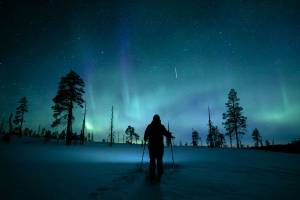 Sneeuwschoensafari ontdek het noorderlicht