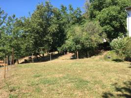 Grosser Garten mit Schafen und Hühnern am Waldrand von Kaisersla