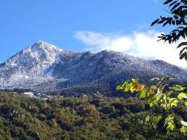 Bedura Park, camping temático de la naturaleza y bungalows