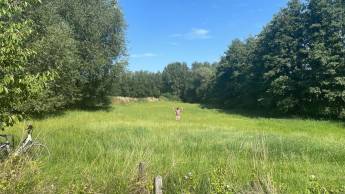 La belle vie dans la prairie Rigaudrye au pays de collines :-)