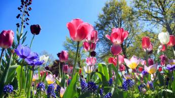 Crowne Plaza Düsseldorf-Neuss