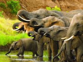 Ontdekkingsreis Zuid-Afrika 2026