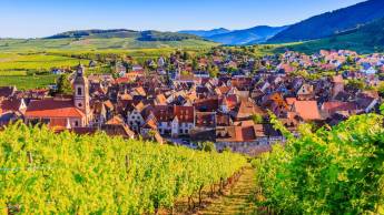 Best Western Plus Au Cheval Blanc Mulhouse Nord