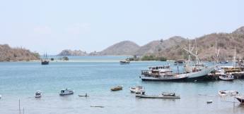 Rondreis 17 dagen avontuur & cultuur: Komodo en Flores