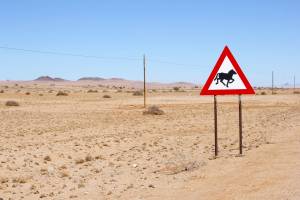 Aus, hotels en omgeving