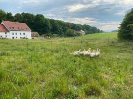 Campspace in Radeburg, Sachsen