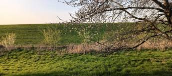 Schöner und ruhiger Campingplatz in der Nähe von Bemelen, Limbur