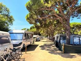 Camping Vall d'Or