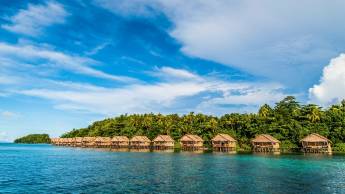 Bouwsteen 8 dagen duiken Papua Paradise - Raja Ampat