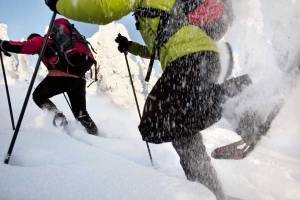 Sneeuwschoensafari door natuur van Lapland