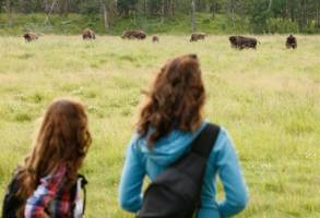 Familie fly drive Ontdek West-Canada