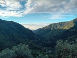 Der Lagerplatz des fliegenden Holländers