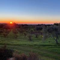 Wunderschöne Naturoase mit vielen Obstbäumen und Meerblick