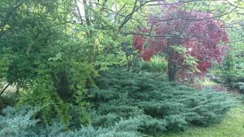 Campingplatz in Lauris, Provence-Alpes-Côte d’Azur