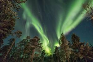 8 daagse excursiereis Muotka Wilderness Week
