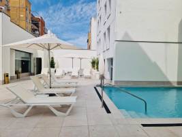 Virgen de los Reyes Affiliated by Senator