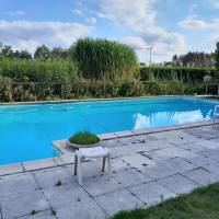 Kampeerplek en grote tuin met zwembad