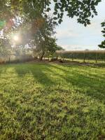 Campingplatz in Saint-Léonard-des-Bois, Pays de la Loire