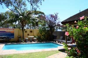 A Sunflower Stop - Hostel