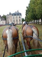 Campingplatz in Boussay, Centre-Val de Loire, Süd-Touraine