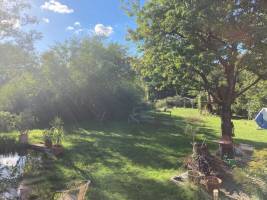 Wohnen zwischen Wald und Wiesen