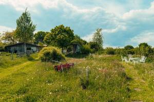Bauernhofcamping in Ostseenähe