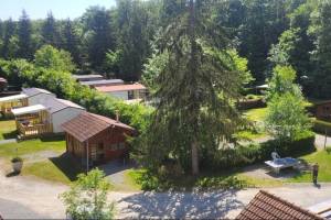 Flower Camping Du Lac De La Seigneurie