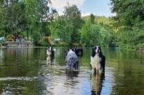 Camping Vallée de l'Our