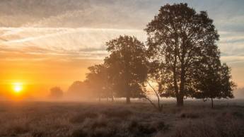 Wandelvakantie over de Hondsrug