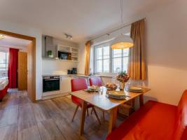 Tauern Suites Mitterwirt TOP 315