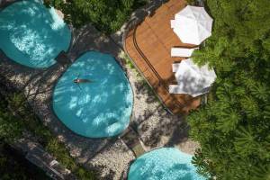 Suitree Experience Hotel