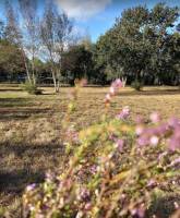 Campingplatz in Carcans, Neu-Aquitanien