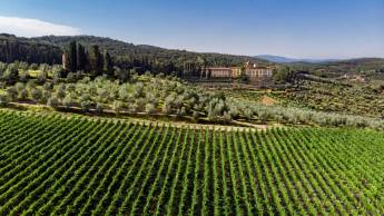 Torre A Cona Wine Estate Garden Suite Bb