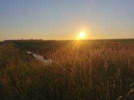 Campspace in Freiburg an der Elbe, Niedersachsen