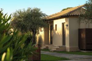 Canvas by Mitsis Messonghi