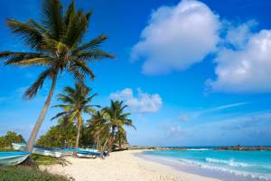 8 dg cruise only West Caribische Zee Norwegian P