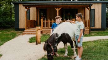 Vakantiepark Dierenbos