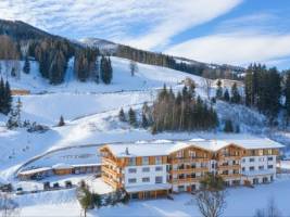 Skylodge Alpine Homes