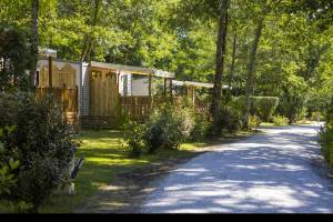Camping Saint Pierre De Rousieux