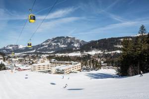 ROBINSON FIEBERBRUNN