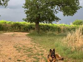 Campingplatz in St. Marcel d'Ardeche, Auvergne-Rhône-Alpes