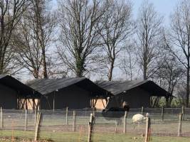 Vodatent Camping de Waterbuffelfarm