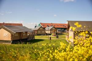 Glamping am Uitgeestermeer