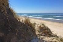 Løkken Maritime Naturcamp Vestkystcamping