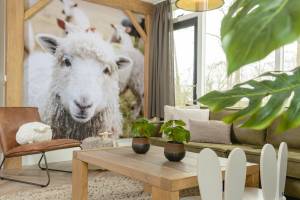 Baby- & kinderbungalow I 5 pers.
