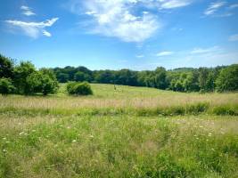 Natur, ruhige Lage, schöne Aussicht auf die Landschaft auf 5 Hek