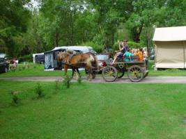 Flower Camping Les 3 Ours