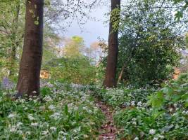 Einfaches Leben im Freien im Hinterhof