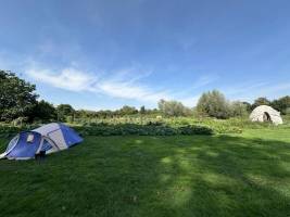 Camping und Lotushuisje (kleines Haus) in der Gemeinde Vlierhof