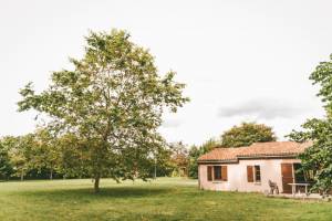 Moncontour 3p 4/6pers Gite